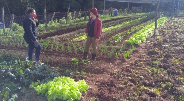 Mujeres rurales de Itapúa reciben capacitación para mejorar y comercializar productos hortícolas