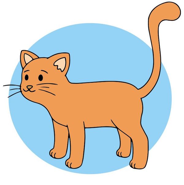 Nuestras mascotas - Escolar - ABC Color