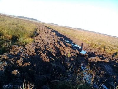 Denuncian canalización irregular de un humedal en Yuty - Nacionales - ABC Color