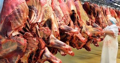 La Nación / Paraguay exportará 360.000 Tn. de carne