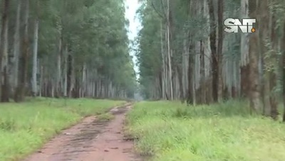 Secuestro en Tacuatí: Aumentan rescate exigido por trabajador
