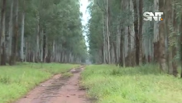 Secuestro en Tacuatí: Aumentan rescate exigido por trabajador - SNT