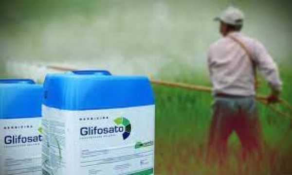 Francia multa a Monsanto por recopilar de forma ilegal datos de activistas y periodistas