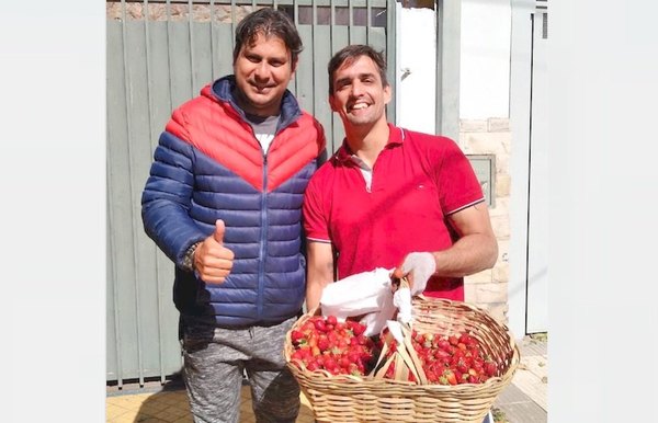 Crónica / ¿Walter Fretes se volvió frutillero?
