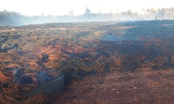 Imputan a dos hombres por irracional quema en cementerio de cubiertas