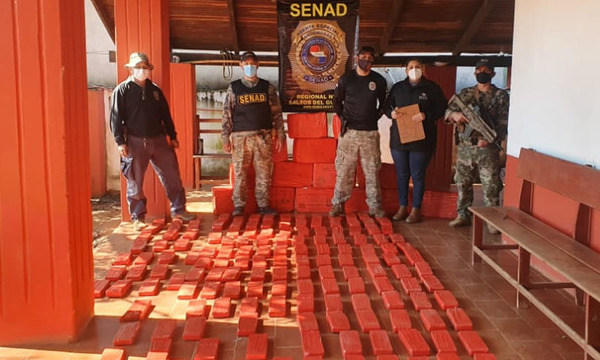 La SENAD detectó más de 400 kilos de marihuana en Canindeyú - OviedoPress