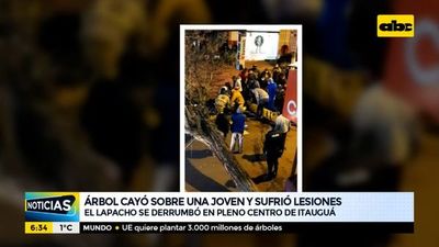 Árbol cayó sobre una joven en pleno centro de Itauguá - ABC Noticias - ABC Color