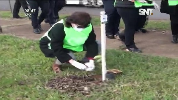 Encarnación: Plantaron árboles nativos en la Costanera - SNT