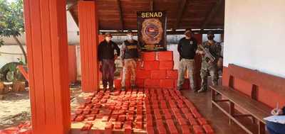 Senad incautó casi media tonelada de marihuana en zona rural de Canindeyú | .::Agencia IP::.