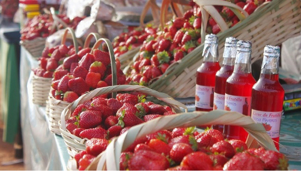 Ferias de frutillas y hortalizas en tres ciudades