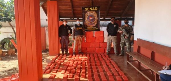 Senad incautó casi media tonelada de marihuana en zona rural de Canindeyú | OnLivePy