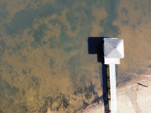 Esperanzadora mejoría en el lago Ypacaraí, pero todavía queda mucho por hacer - Nacionales - ABC Color