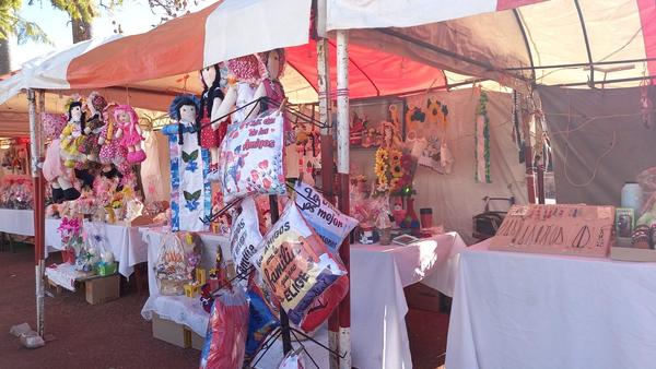 Tradicional Feria del "Día de la Amistad" en Coronel Oviedo – Prensa 5