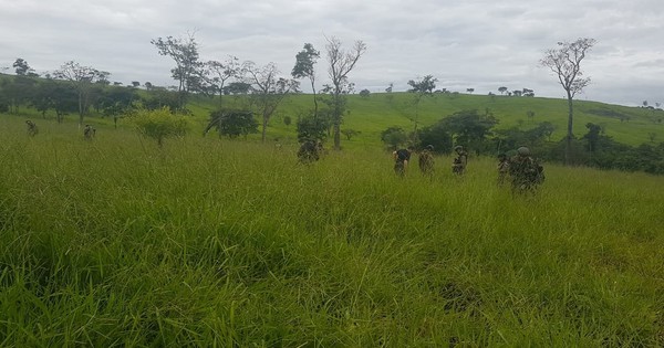 La Nación / Encapuchados asaltan un establecimiento ganadero en San Isidro Labrador