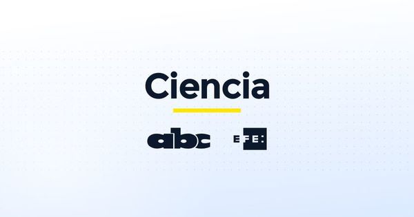 Por incidente con módulo Naúka, EEI suspende el envío de cápsula de Boeing - Ciencia - ABC Color