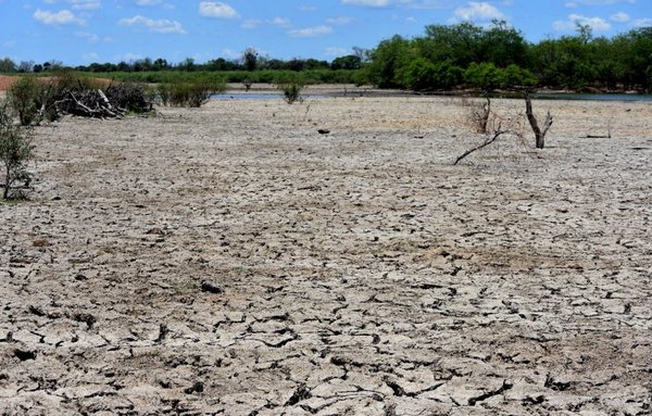 Navieros advierten que la bajante de los ríos impactará en la economía del país - ADN Digital