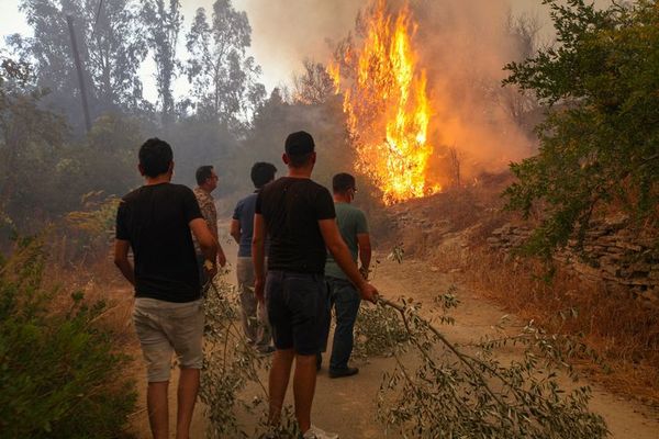Ascienden a cuatro las víctimas mortales de los incendios en Turquía - Mundo - ABC Color