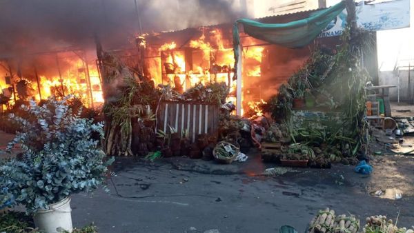Incendio afecta a casillas del Paseo de los Yuyos del Mercado 4