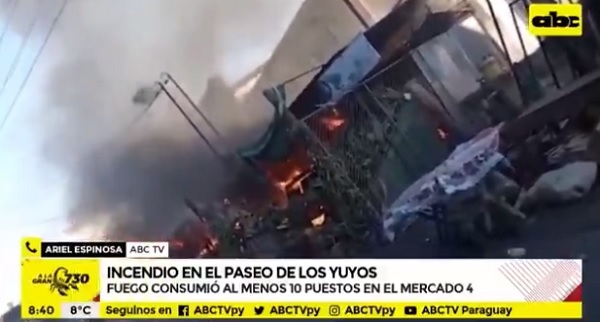 Fuego consume 10 casillas en el Paseo de los Yuyos