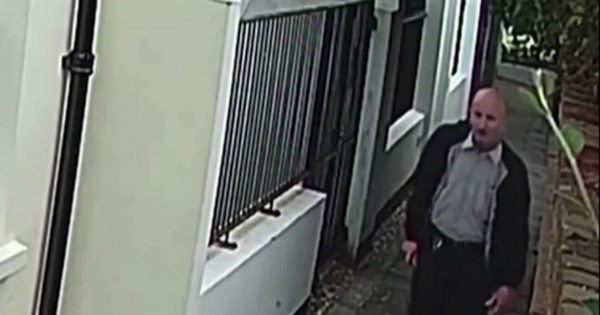 La Nación / Reino Unido: asesino en serie de gatos irá cinco años a prisión