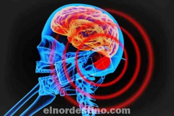 La radiación de los celulares podría aumentar el riesgo de tumores cerebrales, el peligro es eminente hacia nuestra salud.