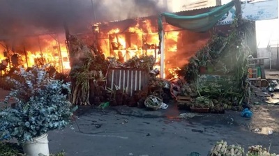 Intendente promete reponer puestos del Paseo de los Yuyos