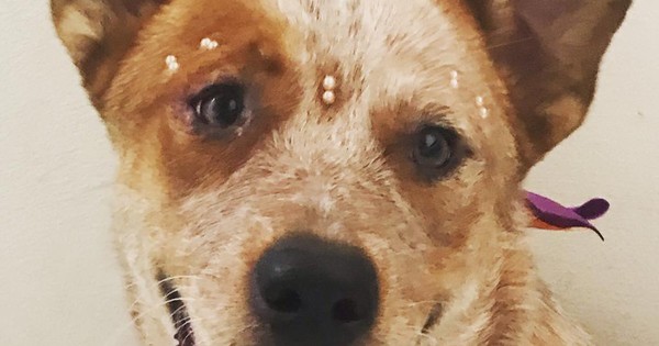 La Nación / ¡Emoción!: Pitu Willis sorprendió a su familia con el regreso de Moria