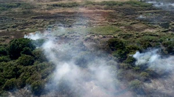 Gobierno inicia campaña de mitigación de incendios forestales ante sequía | OnLivePy