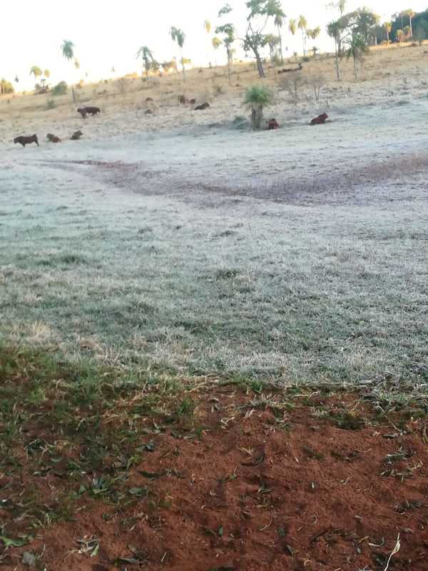 Bajas temperaturas para el día de hoy