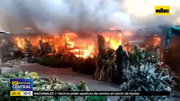 Incendio afectó el paseo de los yuyos - ABC Noticias - ABC Color