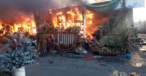 La Nación / Incendio consumió Paseo de los Yuyos