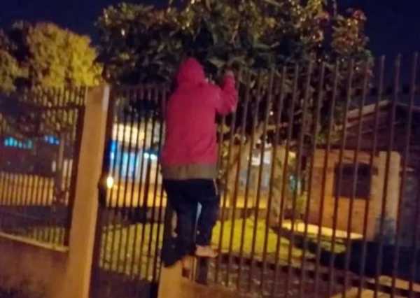 Vecinos atraparon a delincuentes, pero los volvieron a soltar porque la policía no llegó | Noticias Paraguay