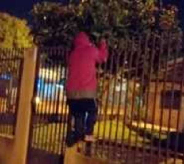 Rateros fueron maniatados por vecinos, pero policías nunca llegaron - Paraguay.com
