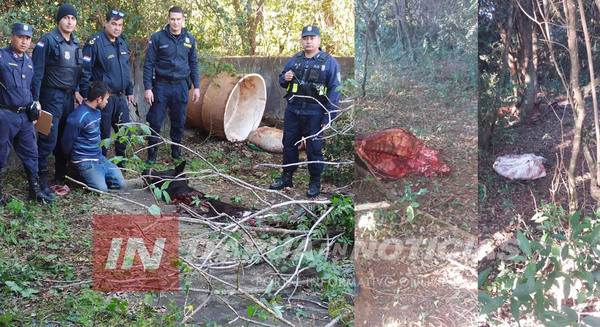 CNEL. BOGADO: SORPRENDEN A CUATREROS EN PLENA FAENA DE UN ANIMAL