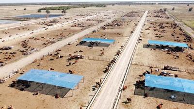 Innovación y tecnología para intensificar la producción en Agroganadera Concepción