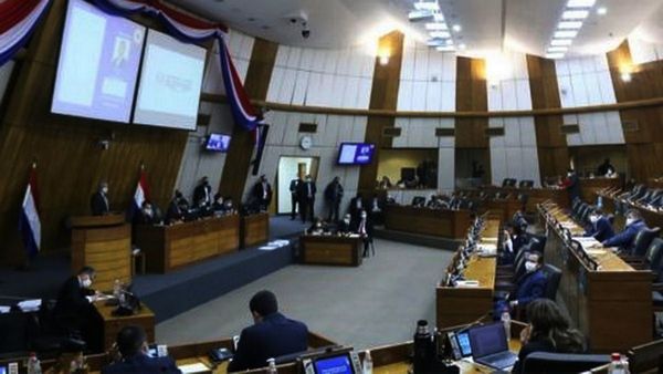 Los legisladores aportaron por IRP solamente el 1% de sus ingresos
