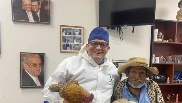 Regaló dos gallinas a doctor que le operó gratis