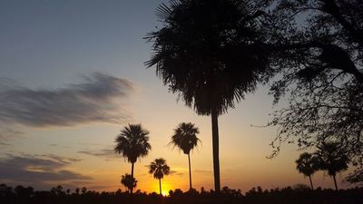 Viaje al pantanal, una aventura asegurada  - ABC Revista - ABC Color