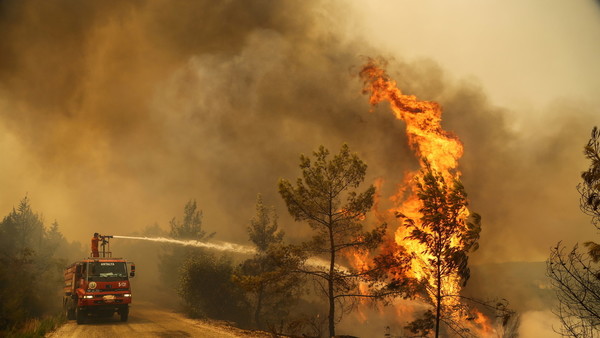 Turquía evacúa la ciudad turística de Bodrum por incendios forestales | Ñanduti