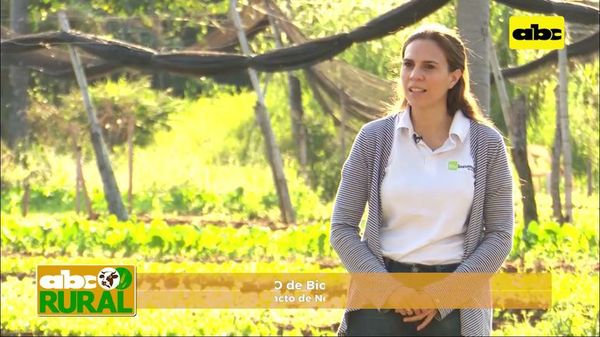 ABC Rural: Extracto de neem para control de plagas y enfermedades - ABC Rural - ABC Color