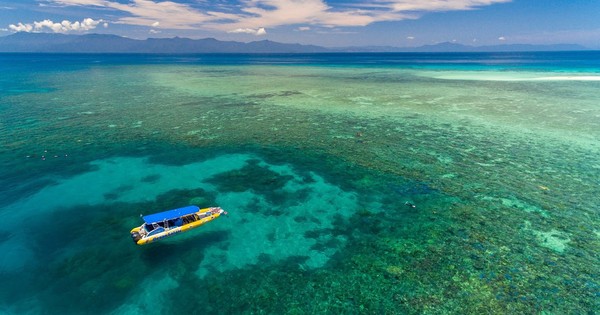 La Nación / La Gran Barrera de Coral evita su inclusión como patrimonio mundial “en peligro”