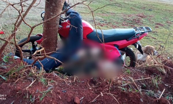 Motociclista muere tras chocar violentamente contra un árbol