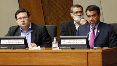 Ministro pide avanzar en las reformas - Nacionales - ABC Color