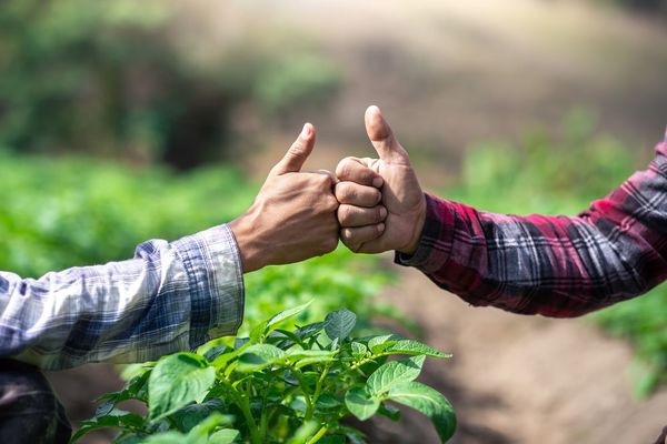 Cooperativas esperan un dinámico segundo semestre, ante elevada liquidez y avance de la vacunación - MarketData