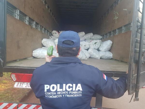 Incautan más de cinco mil kilos de locotes de contrabando