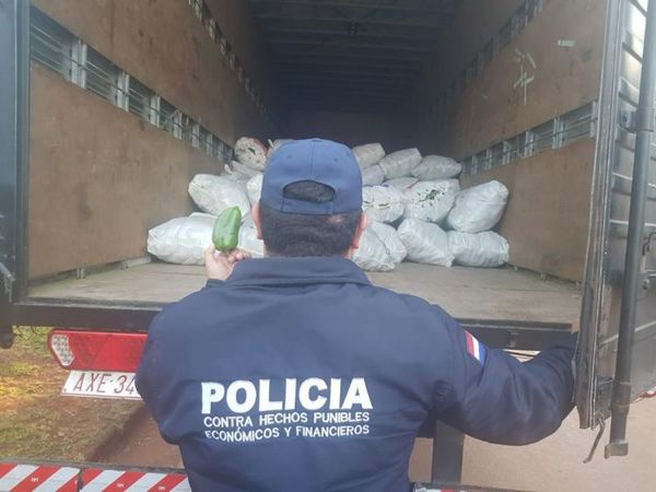 Decomisan 5.800 kilos de locote contrabandeado en Minga Guazú