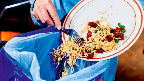 Un 40 % de los alimentos cultivados son desperdiciados | El Independiente