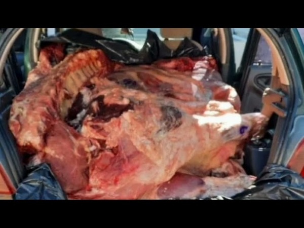 INCAUTAN 1.000 KILOS DE CARNE QUE HABRÍAN INGRESADO DE CONTRABANDO