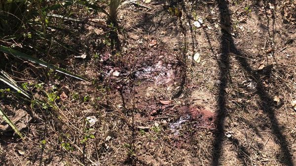 Buscan campamentos en zona donde cayeron abatidos dos miembros del EML - Nacionales - ABC Color
