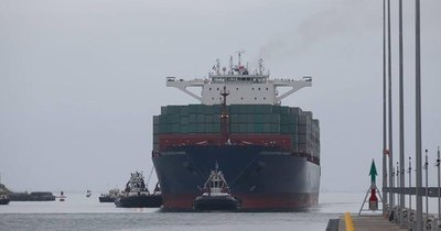 La Nación / Canal de Panamá establece nueva vía para evitar choques entre buques y cetáceos